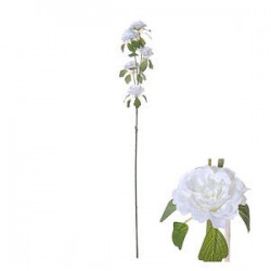 STELO RANUNCOLO BIANCO 70cm