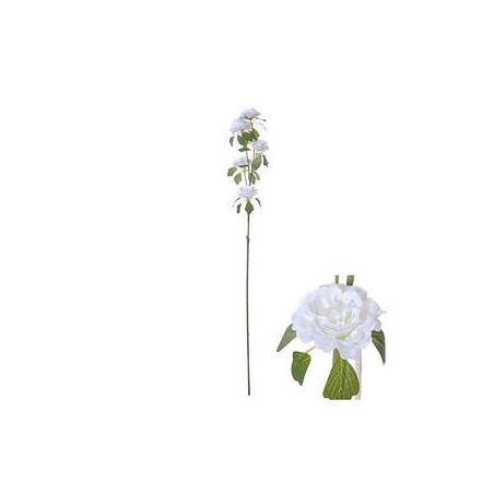 STELO RANUNCOLO BIANCO 70cm