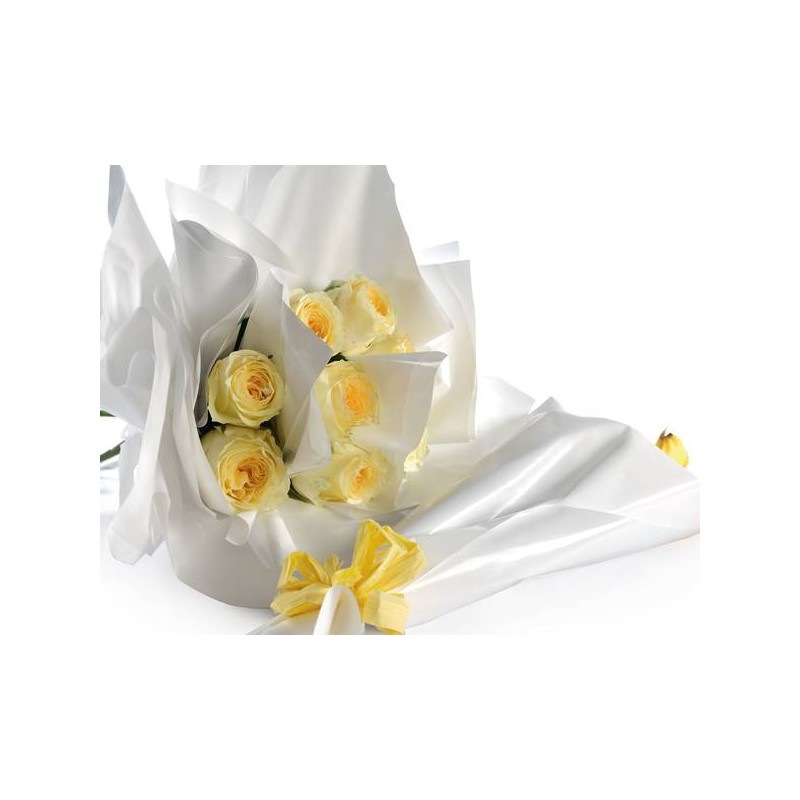 FOGLI PPL PERLATI NEUTRI 70x100cm 40my 25fg