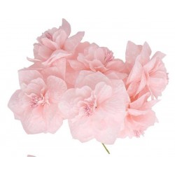 PEONIA GRANDE ø7,5cm ROSA 12pz