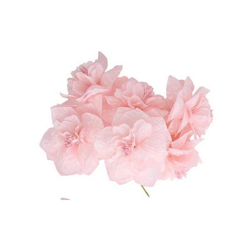 PEONIA GRANDE ø7,5cm ROSA 12pz