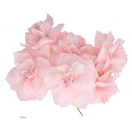 PEONIA GRANDE ø7,5cm ROSA 12pz