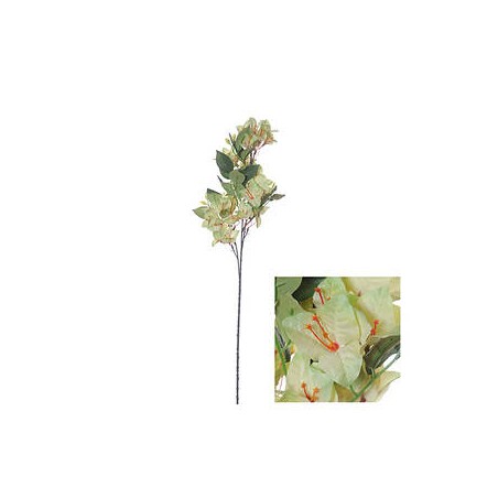 STELO BOUGAINVILLEA VERDE CHIARO 76cm