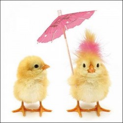 TOVAGLIOLI 33x33 PULCINI DI PASQUA 20pz