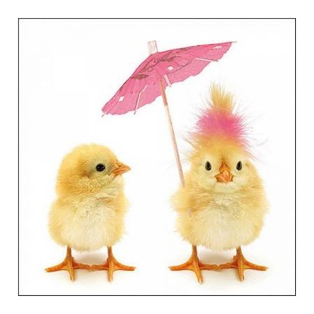 TOVAGLIOLI 33x33 PULCINI DI PASQUA 20pz