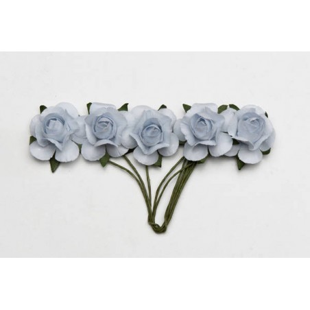 PICKS FIORE CELESTE ø2cm 20pz