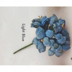 FIORE ROSA MAIS GRANDE CELESTE 6pz