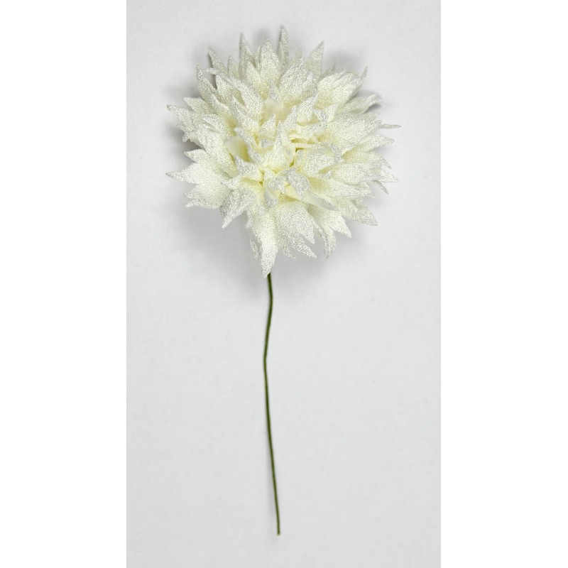 FIORE RAVELLO Ø6cm CREMA 12pz