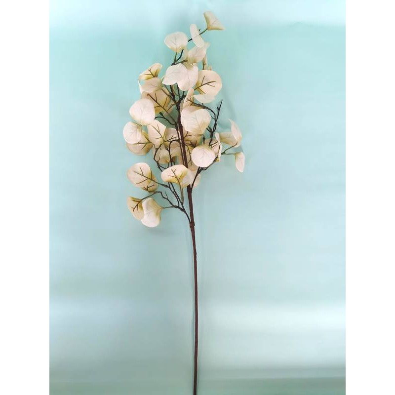 RAMO EUCALYPTUS 73cm BEIGE