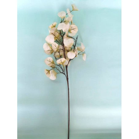 RAMO EUCALYPTUS 73cm BEIGE