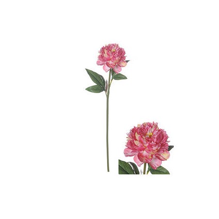 STELO PEONIA SALMONE 68 cm