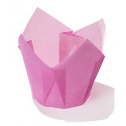 PIROTTINI TULIP 50x50mm H.72mm FUCSIA 120pz