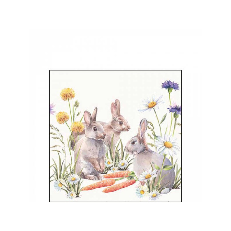 TOVAGLIOLI 25x25 CARROT TREAT 20pz