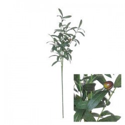 RAMO ULIVO 85cm