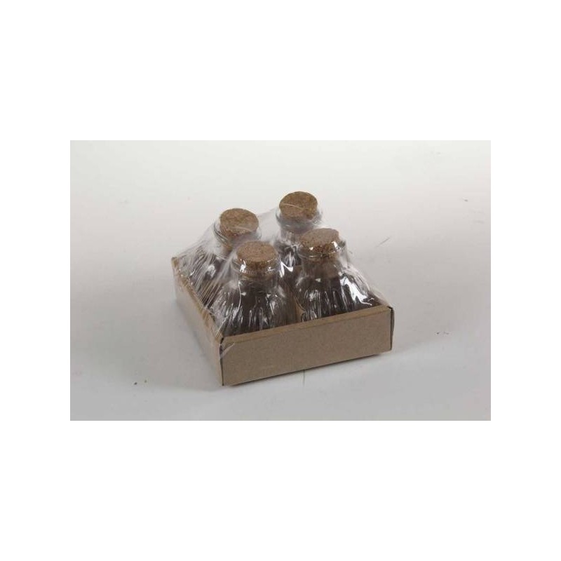 BOTTIGLIA VETRO 60ml 4pz 753084