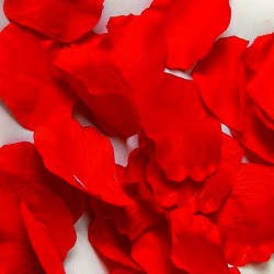 PETALI IN BUSTA 100pz ROSSO