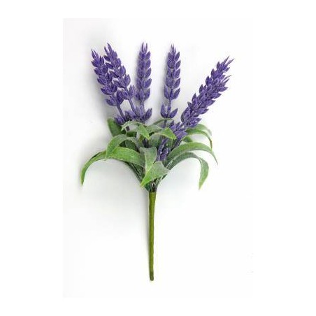 PICK MAZZOLINO LAVANDA BUSTA 6 MAZZETTI