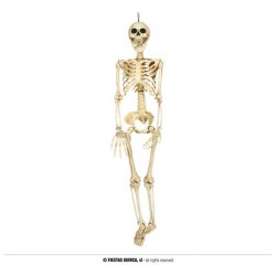 SCHELETRO 90cm
