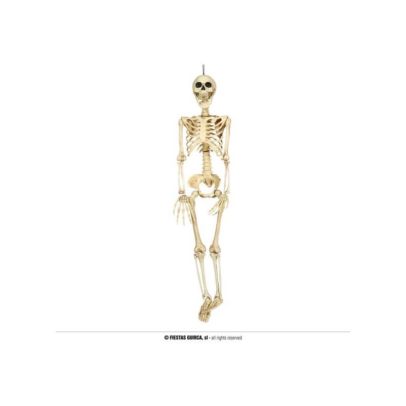SCHELETRO 90cm