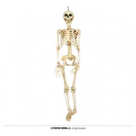 SCHELETRO 90cm