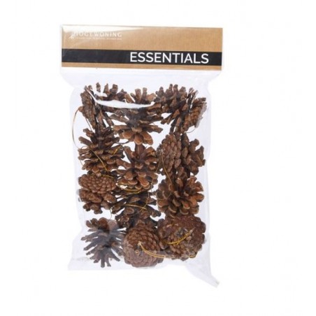 PIGNE CON LACCIO 12pz IN BUSTA