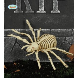 SCHELETRO RAGNO 24cm