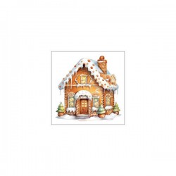 COSTUME CAPPUCCETTO ROSSO ASSASSINO TG.L 42-44