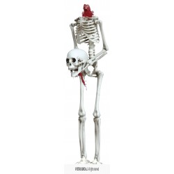 SCHELETRO C/TESTA IN MANO 37cm