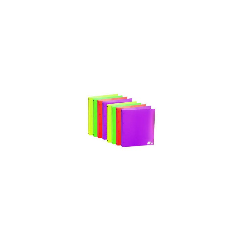 RACCOGLITORE AD ANELLI MY DESK FLUO 24x31cm