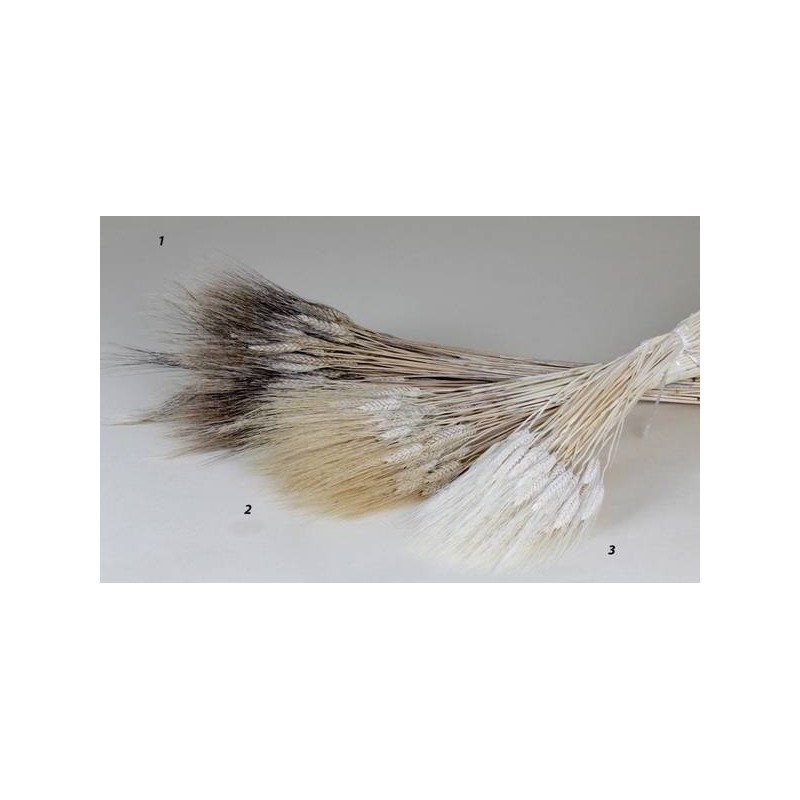 SPIGHE 90/100cm (400gr circa)