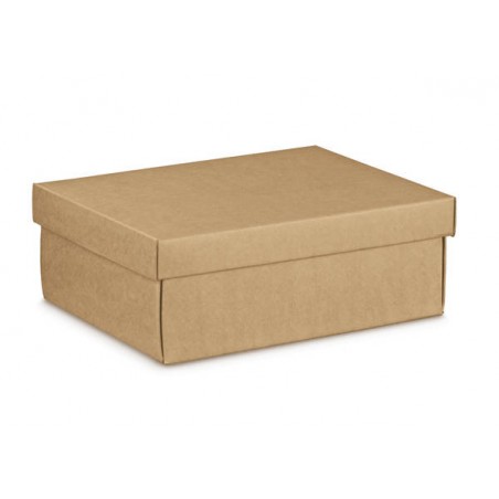 SCATOLA F/COPERCHIO EASY 24x20x9,5cm AVANA