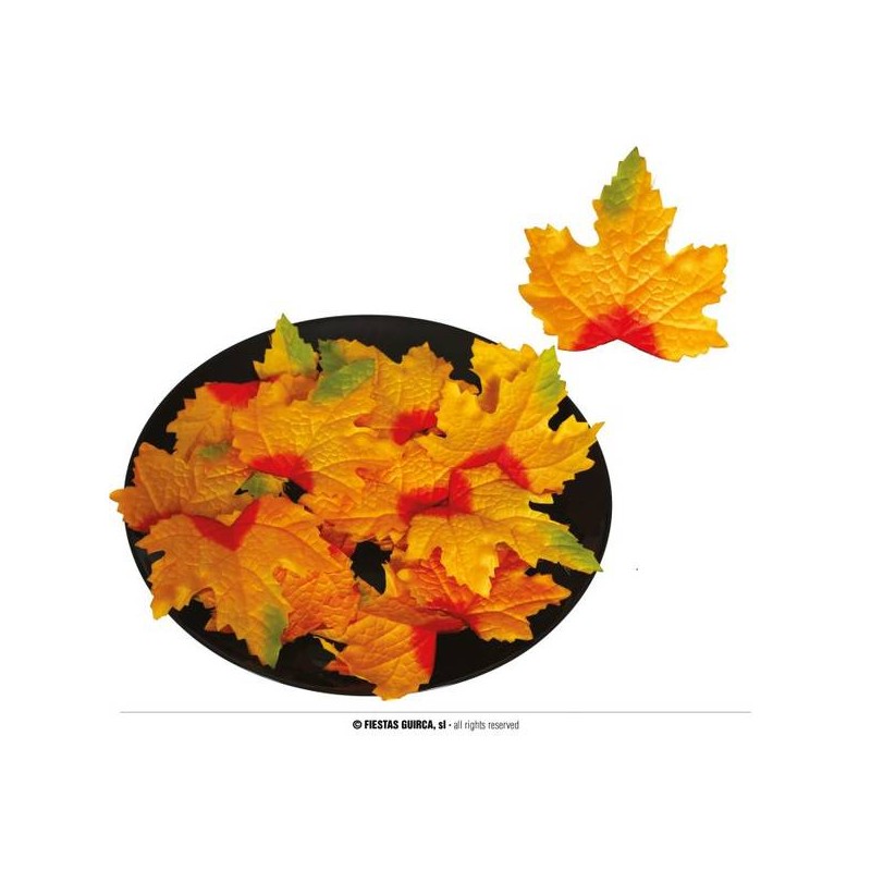 FOGLIE DI ZUCCA 9-10cm 24pz