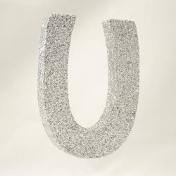 LETTERA POLISTIROLO GLITTER ARGENTO mm120x90 U