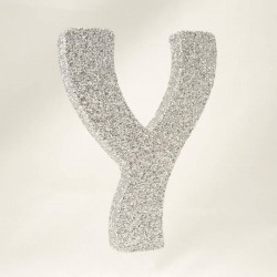 LETTERA POLISTIROLO GLITTER ARGENTO mm120x90 Y