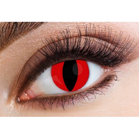 LENTI A CONTATTO GIORNALIERE RED CAT
