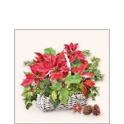 TOVAGLIOLI 25x25 WHITE LANTERN 20pz