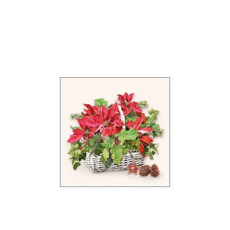 TOVAGLIOLI 25x25 WHITE LANTERN 20pz