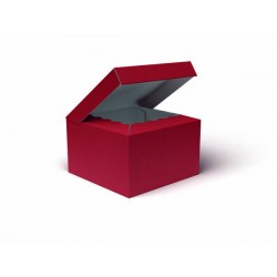 SCATOLA BAULETTO 25x25x15cm ROSSO LISCIA PORTATA 6kg