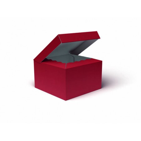 SCATOLA BAULETTO 25x25x15cm ROSSO LISCIA PORTATA 6kg