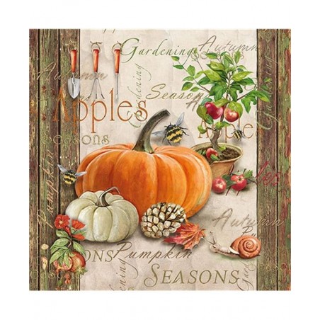 TOVAGLIOLI 33x33 AUTUMN GARDENING 20pz
