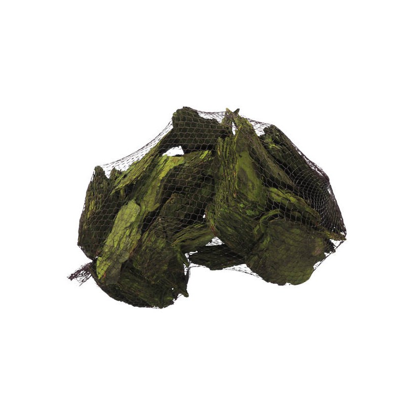 TRONCHETTI MARITIMA BARK GREEN RETINA 1kg