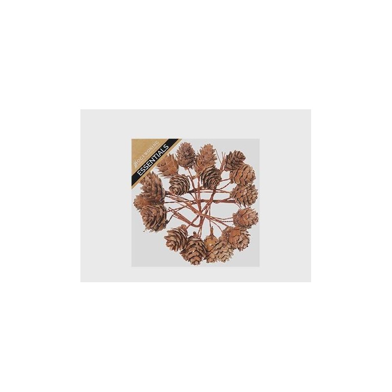 MINI PIGNE C/STELO IN BOX 3 MIS.