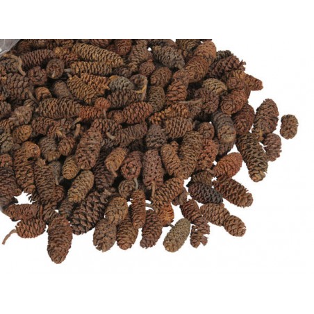 MINI PIGNE BUSTA 500gr