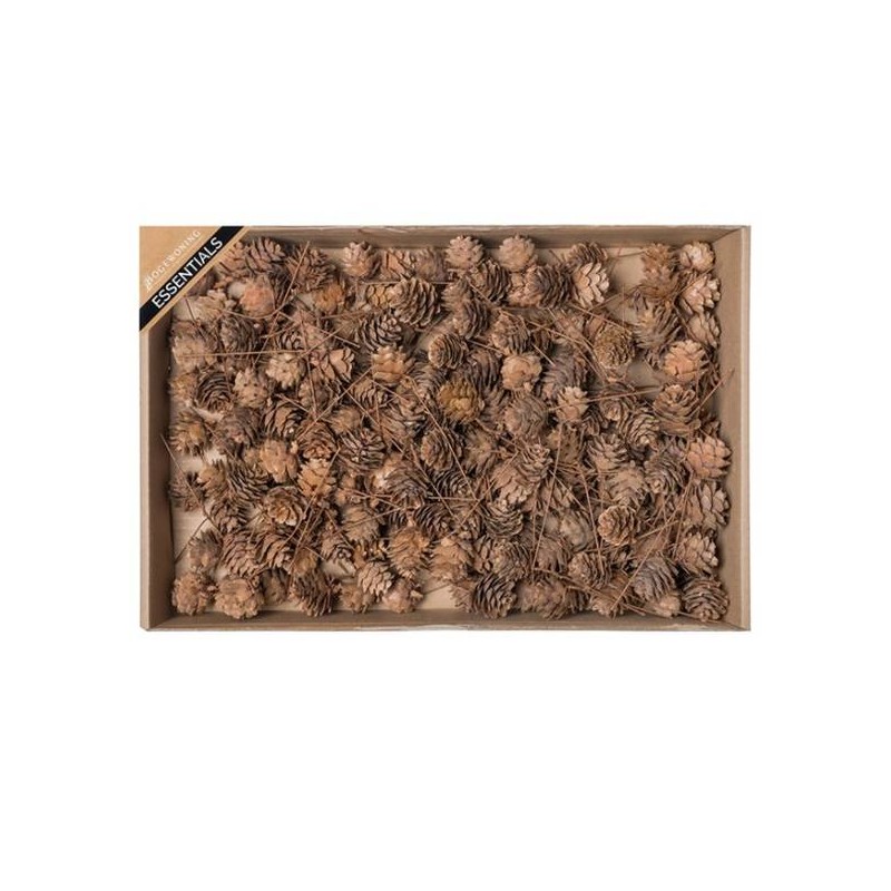 PIGNE CON RAMO 200pz IN BOX