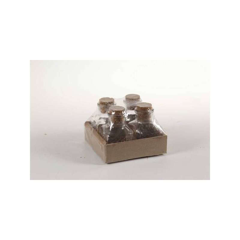 BOTTIGLIA VETRO 60ml 4pz 753091