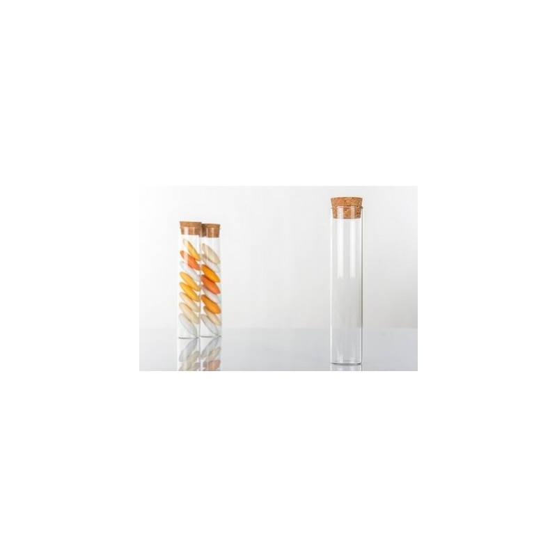 PROVETTA VETRO TAPPO SUGHERO H.12cm 6pz H3072