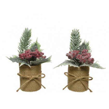 BACCHE ROSSE E PINETTO IN VASO JUTA H 15cm