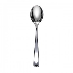 CUCCHIAIO SABERT METAL 10pz