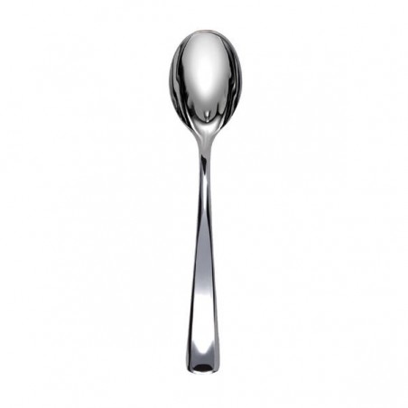 CUCCHIAIO SABERT METAL 10pz