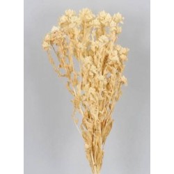 CARTHAMUS SBIANCATO BUSTA 100gr